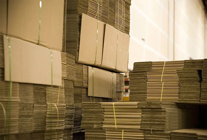 Stylish Fruit Gift Box